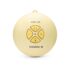 Tire-lait électrique Swing Maxi Flex Medela