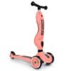 Trotinette 2en1 Highway Kick 1 Scoot and Ride Pêche Trotinette 2en1 Highway Kick 1 Scoot and Ride Pêche