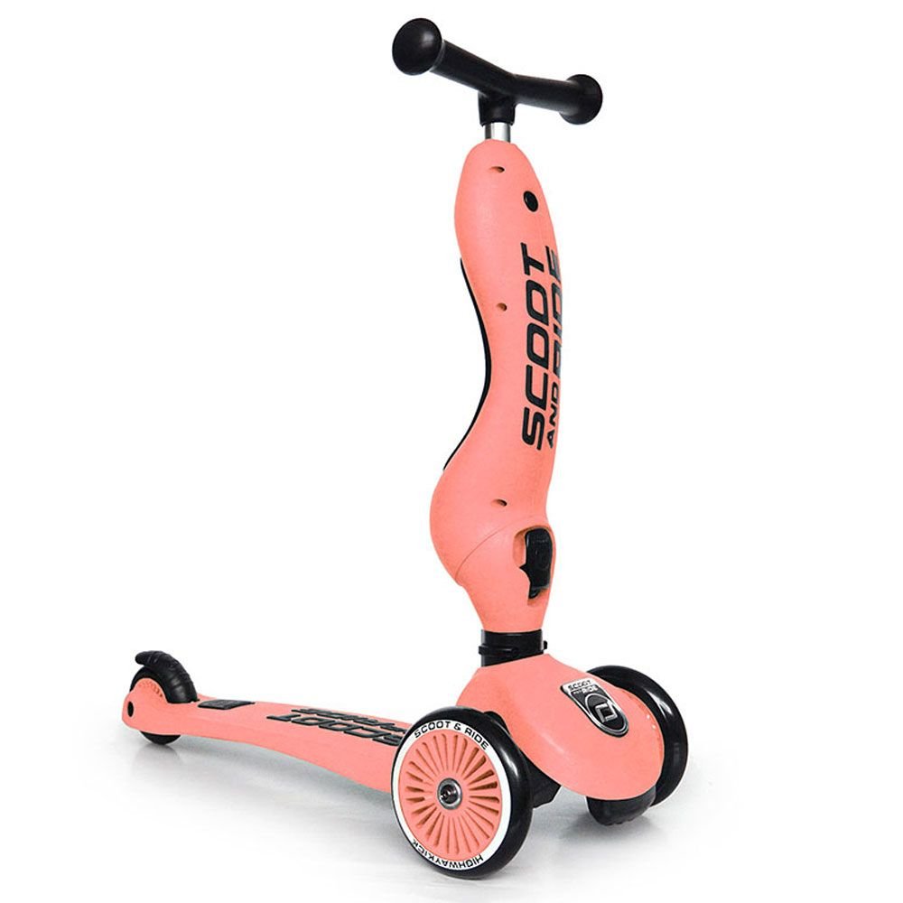 Trotinette 2en1 Highway Kick 1 Scoot and Ride Pêche Trotinette 2en1 Highway Kick 1 Scoot and Ride Pêche