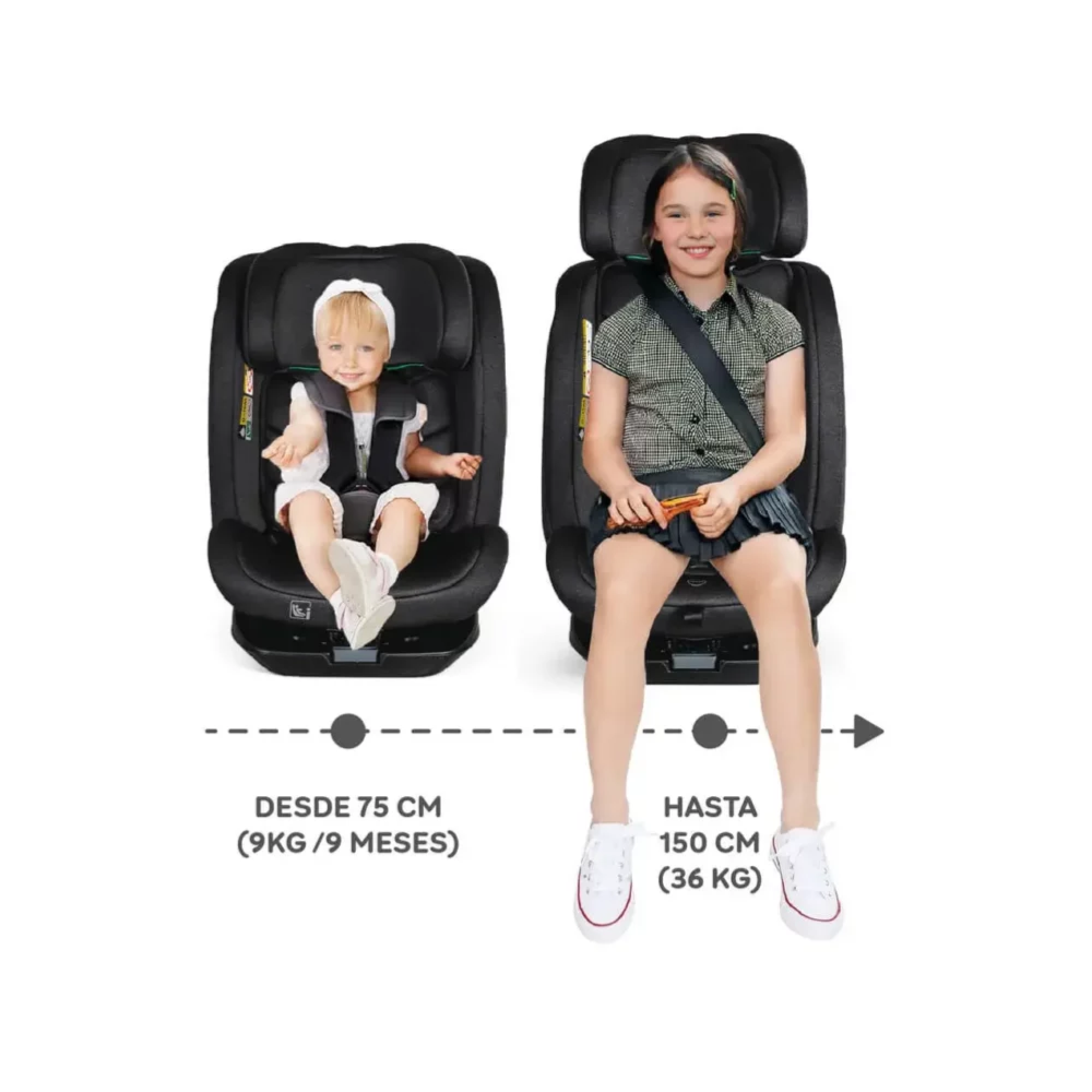 Siège auto Bari i-Size isofix Ms Innovaciones