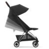 Duo Coya chrome brown et Cloud T sepia black Cybex